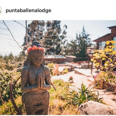 Punta Ballena Lodge Pichilemu Ngoại thất bức ảnh