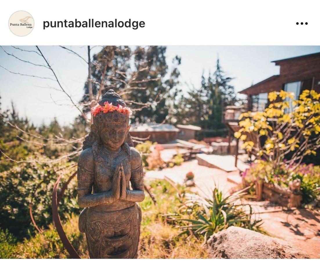 Punta Ballena Lodge Pichilemu Ngoại thất bức ảnh