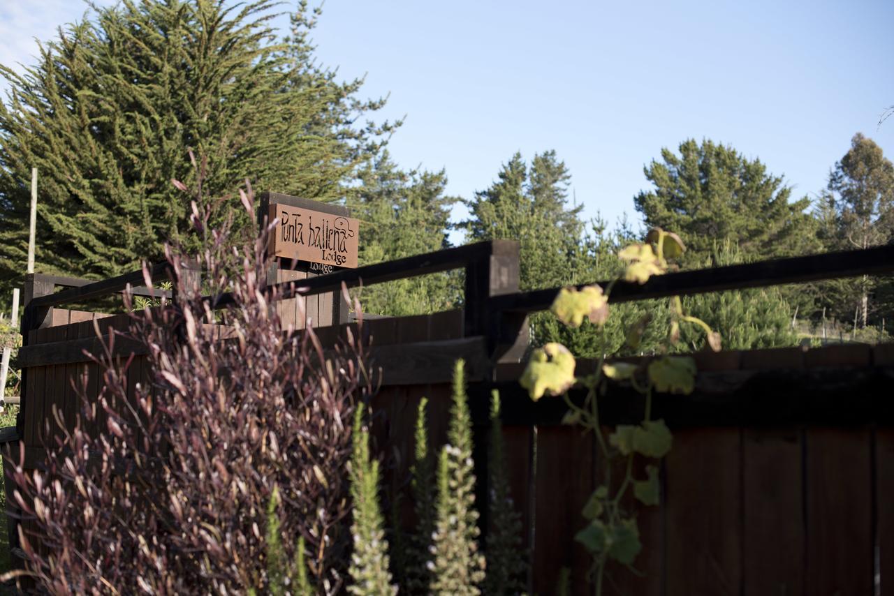 Punta Ballena Lodge Pichilemu Ngoại thất bức ảnh
