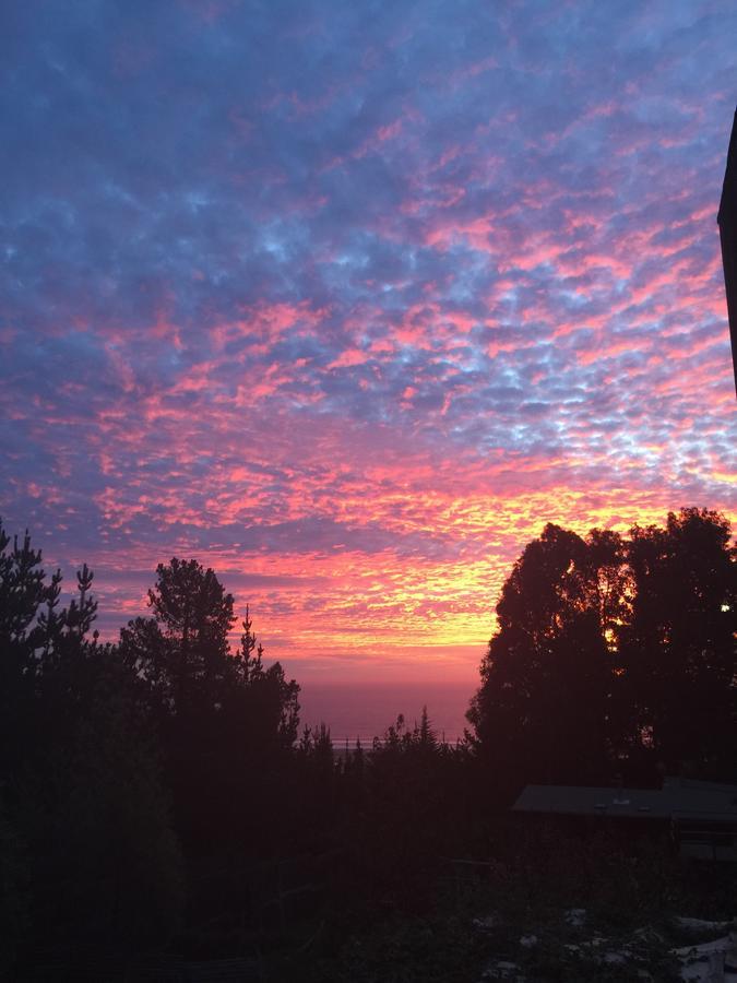 Punta Ballena Lodge Pichilemu Ngoại thất bức ảnh